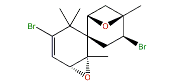 Compositacin D